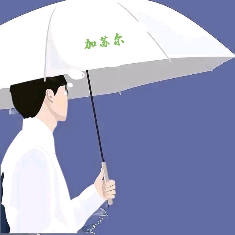 加速尔