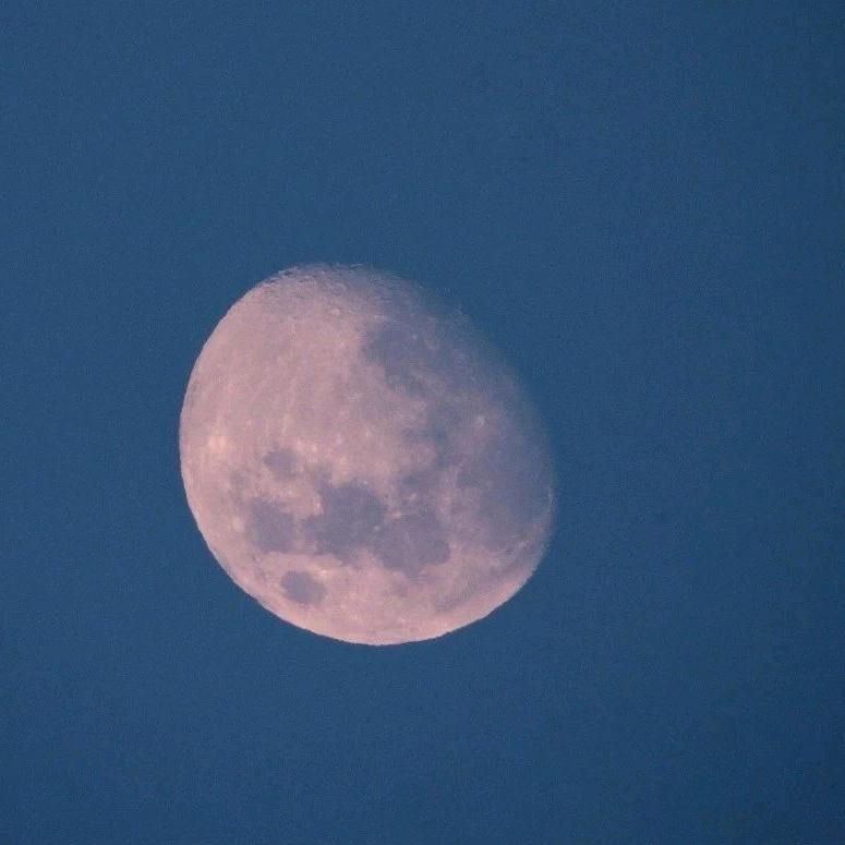 睡着的月亮🌙