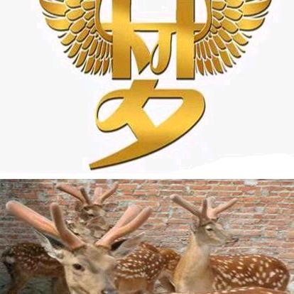起航鹿业专营店