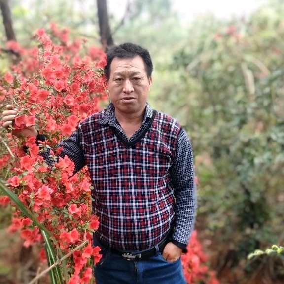 用东山在起