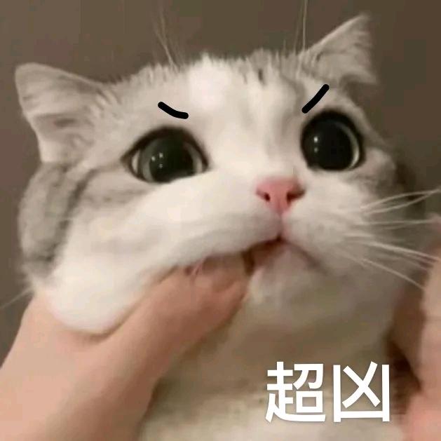 泡泡泡芙