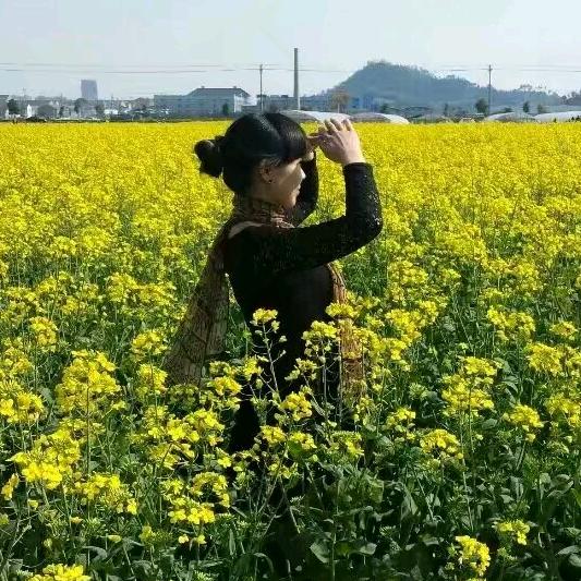 如此安好(梅子手工)@抖音