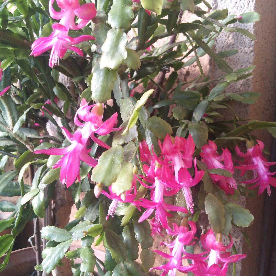 吹尽黄沙尽是金