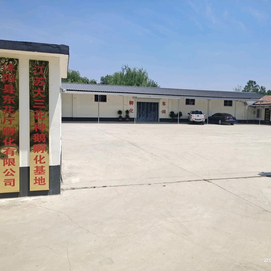 沭阳东花厅孵化场