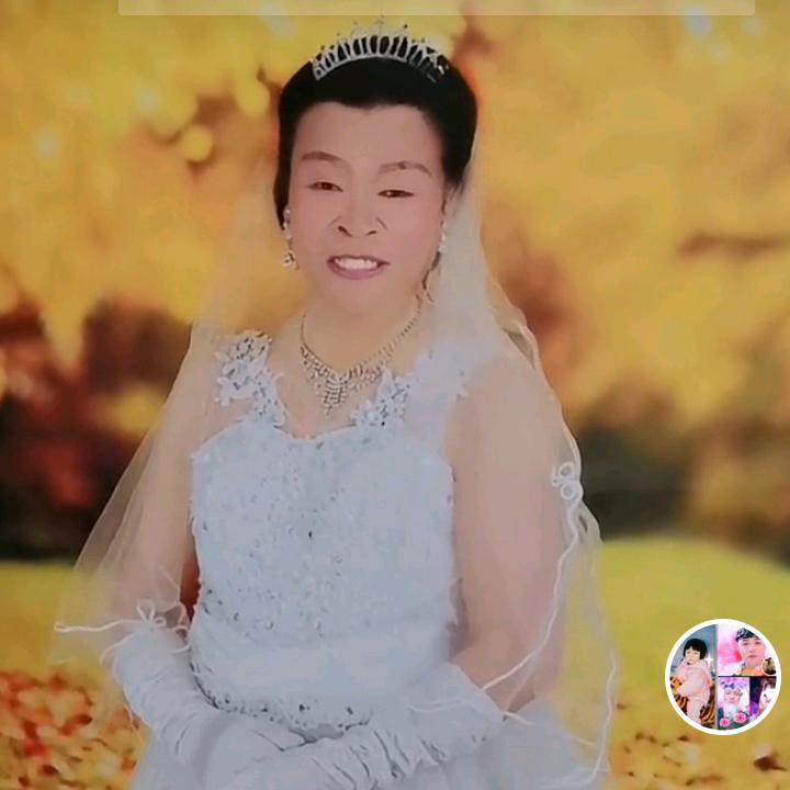 开心毛学莲