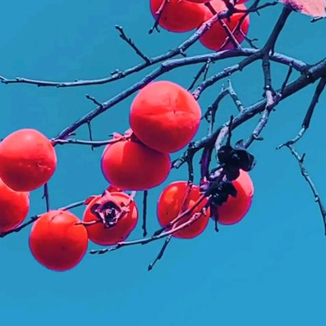 一眼千年