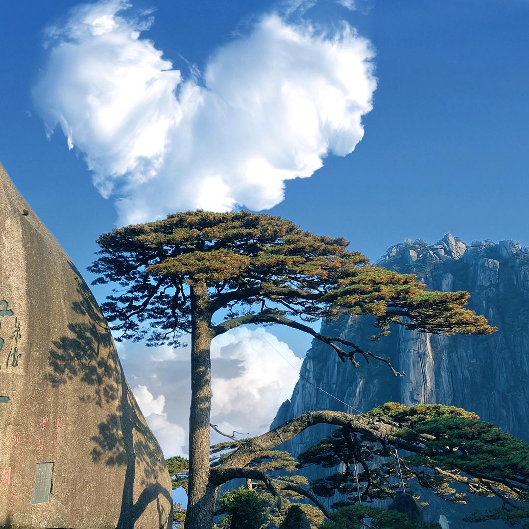 梦幻人生yyk