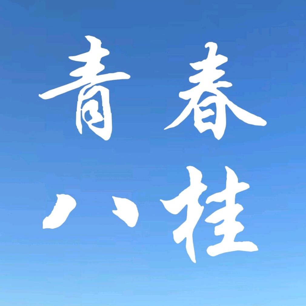 青春八桂