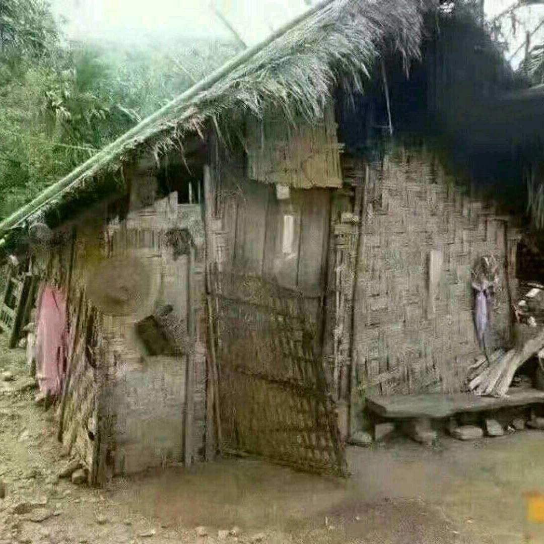谭哥