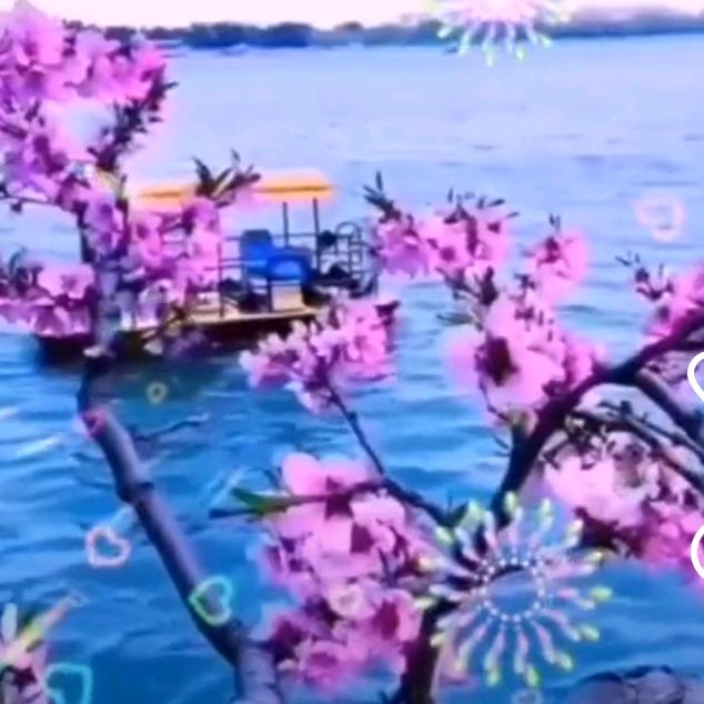 快乐的农村人