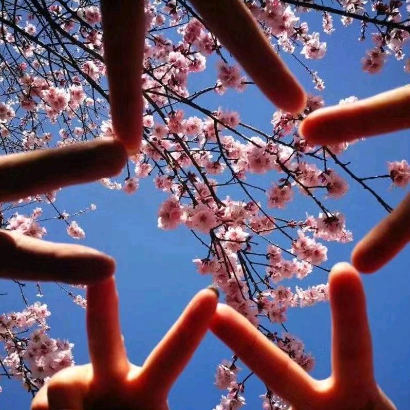 无锡南长街圣塘里招商-许仙森