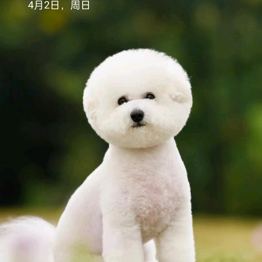 小帆船