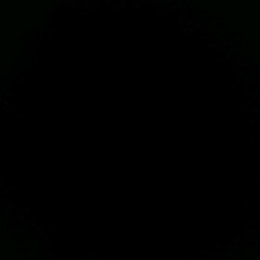 醉夜
