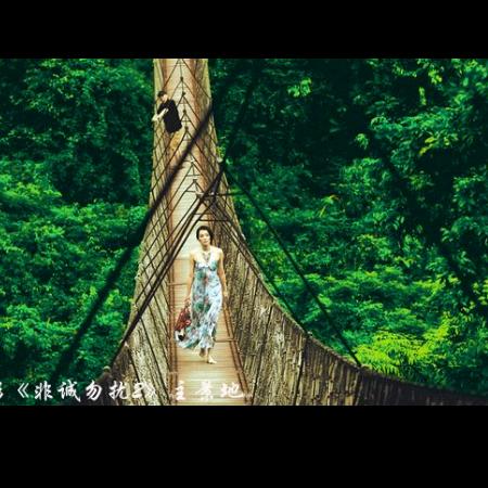 忠诚班长