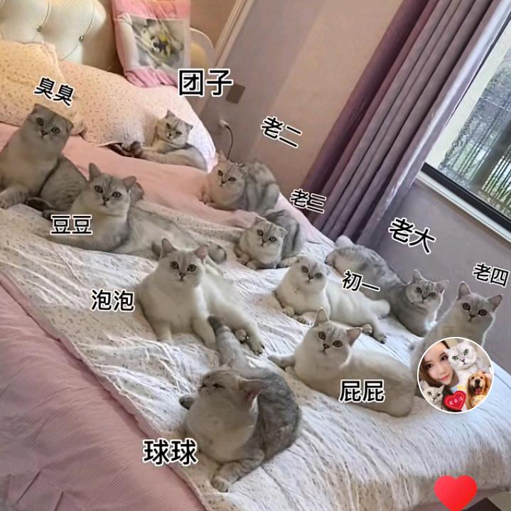 ℳღ凹凸神功²⁰²⁴🧨ꦿ࿐