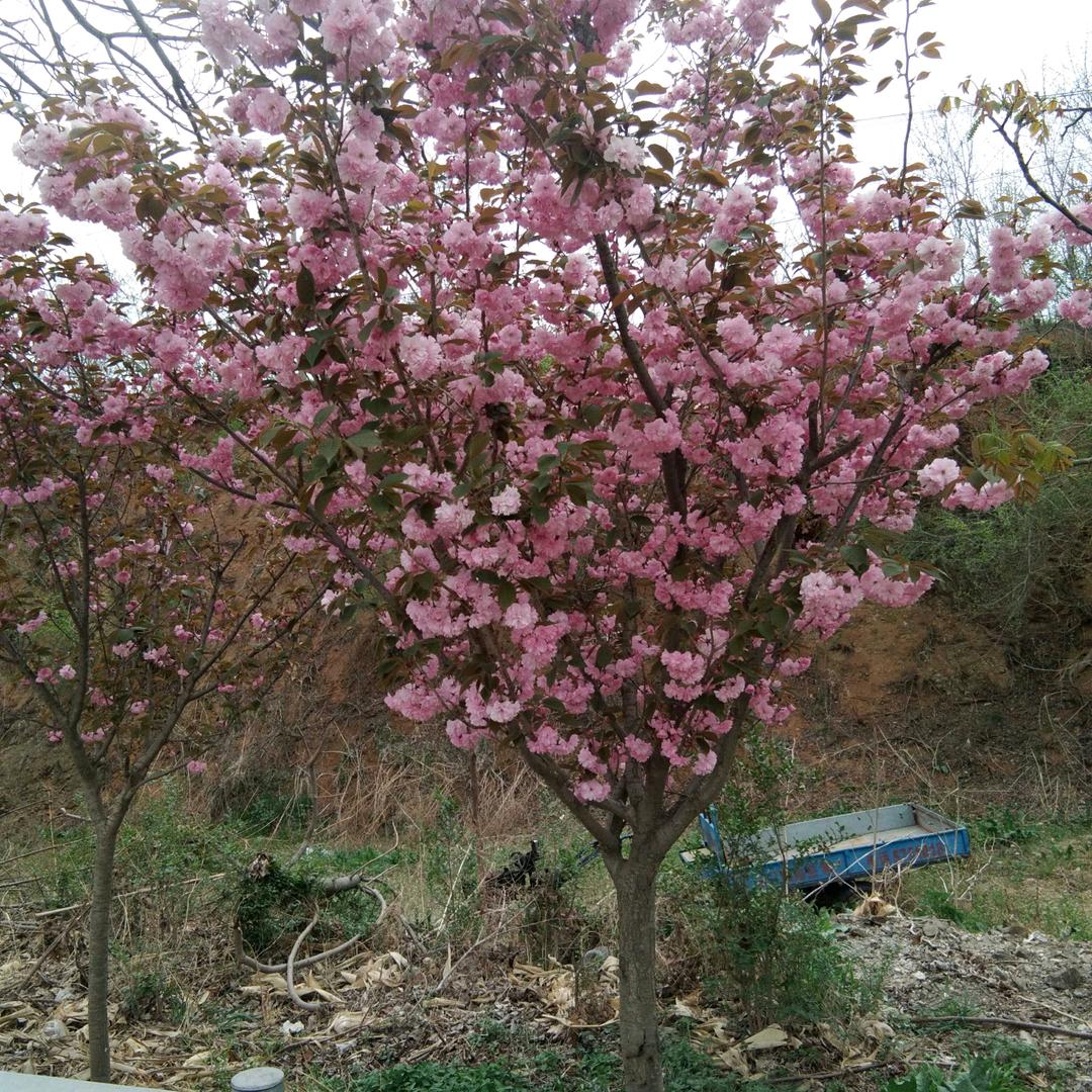 为了梦想而奋斗