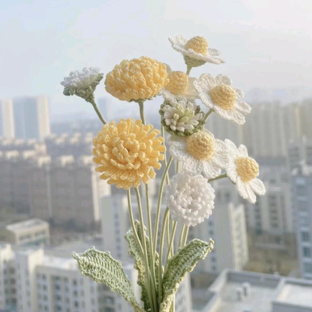 小野花钩织～🧶二十三