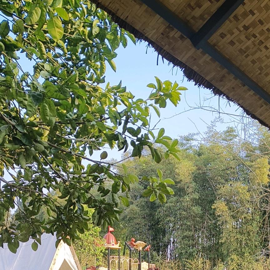 静水如烟