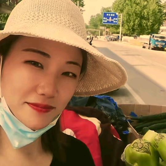 精品瓜果蔬菜供应链姚凤霞
