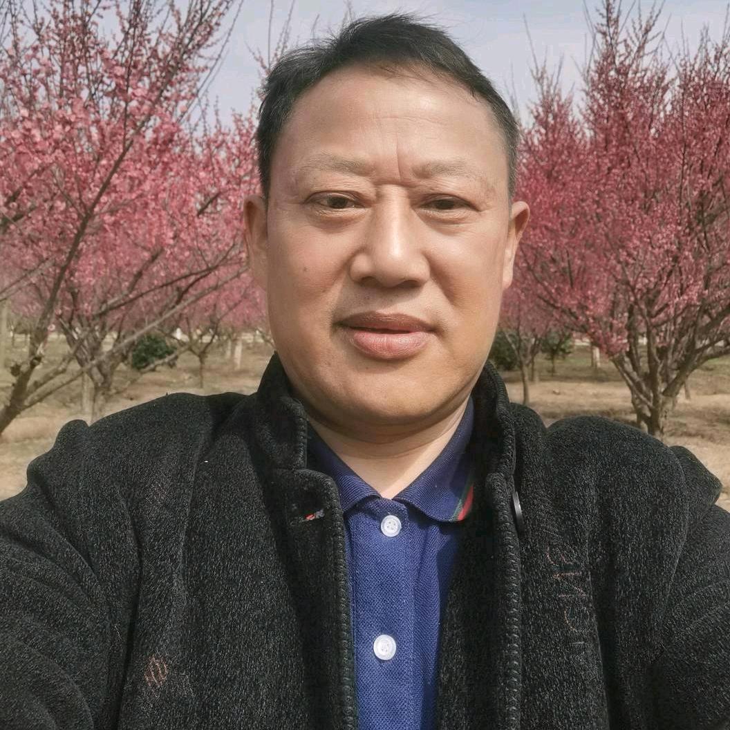 杨总