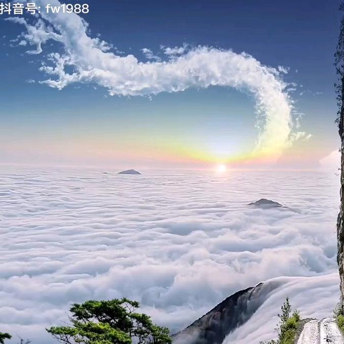 趙财进宝