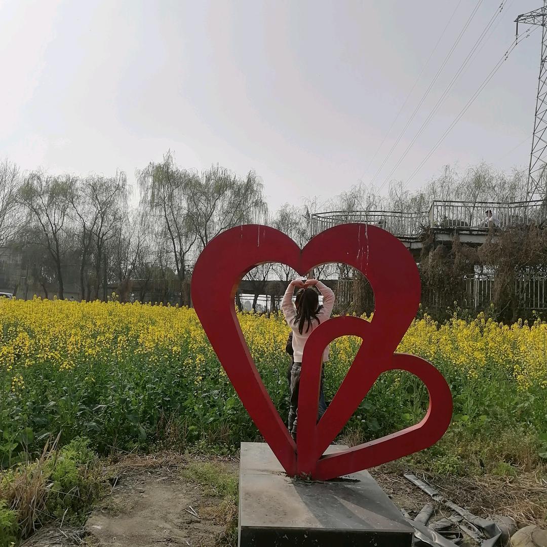 金彤