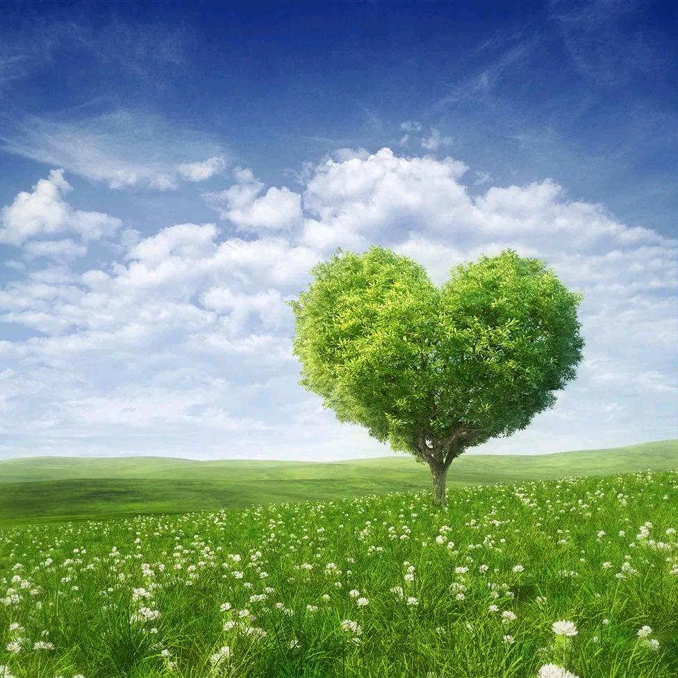 衡水星辰教育咨询