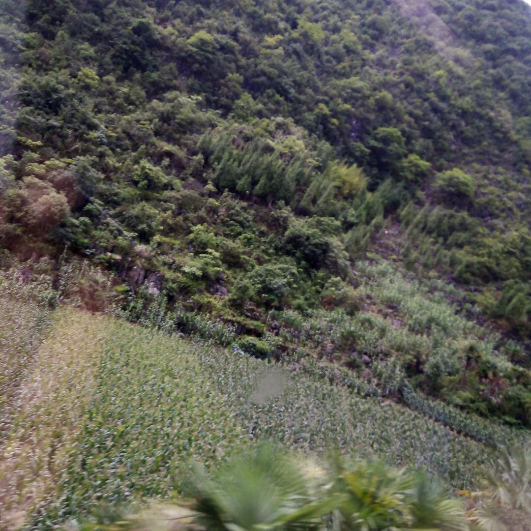 用