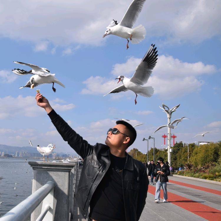 陈帅 ☞（飞蚂蚁🐜飞防）