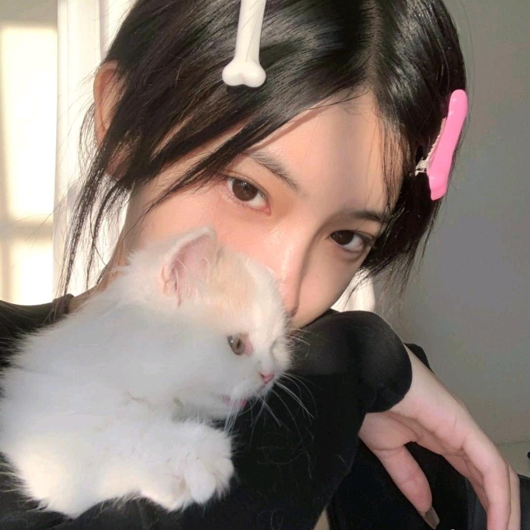是只狐狸li