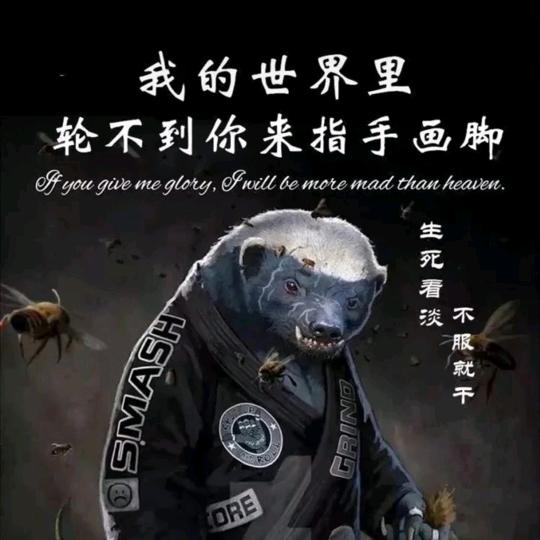 阳光大男孩儿