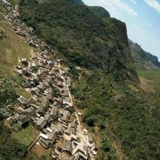 @杨（养）李（你）一辈子