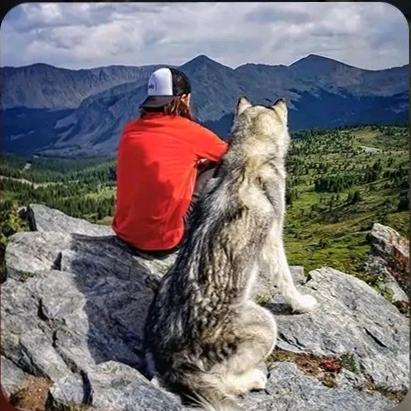 忻州古城华为店