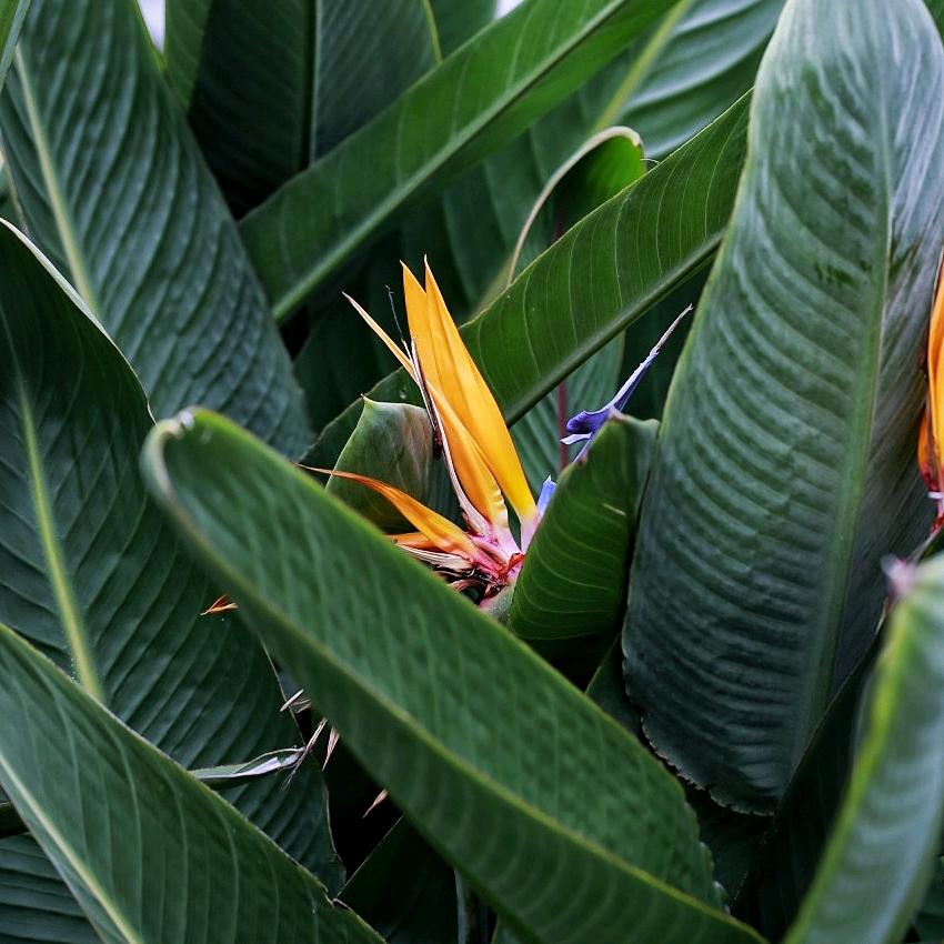 谷子（用户4450935520721）