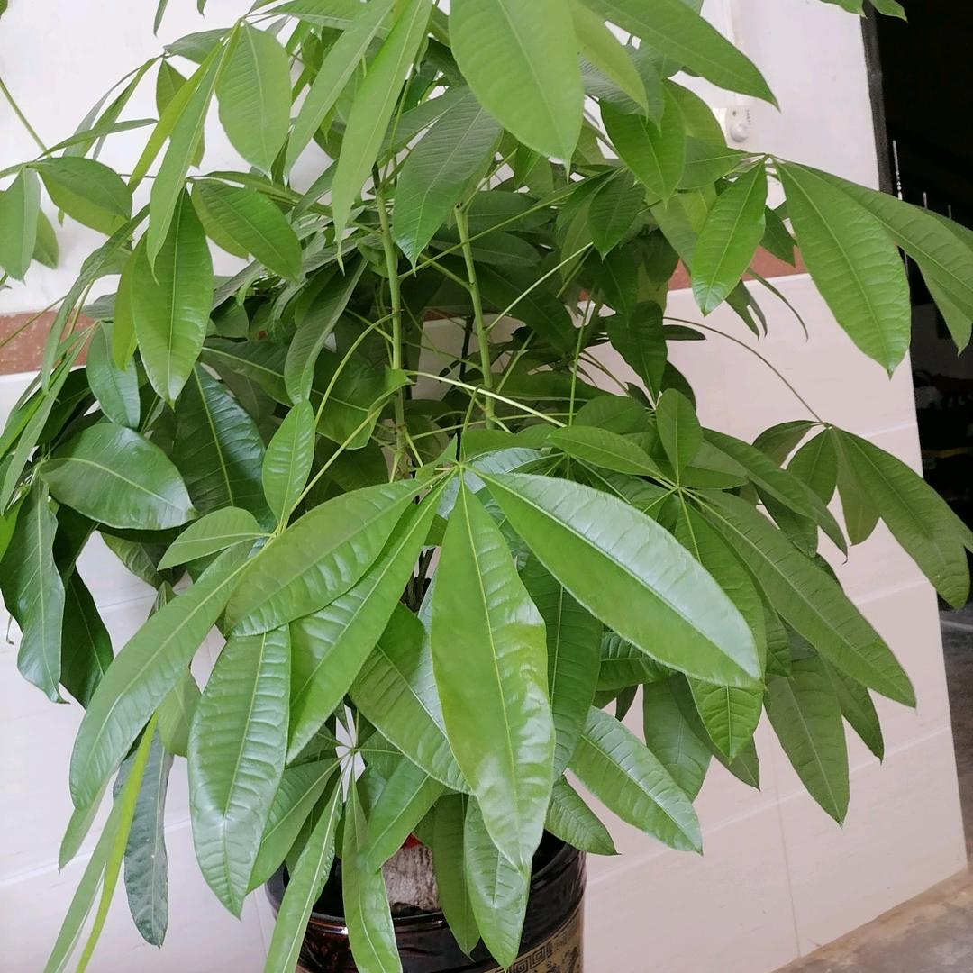 揭小姐