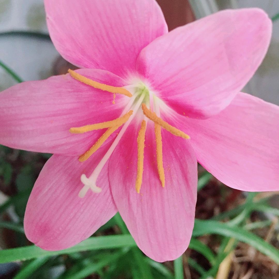 ღ雨꧔ꦿ夜᭄💞