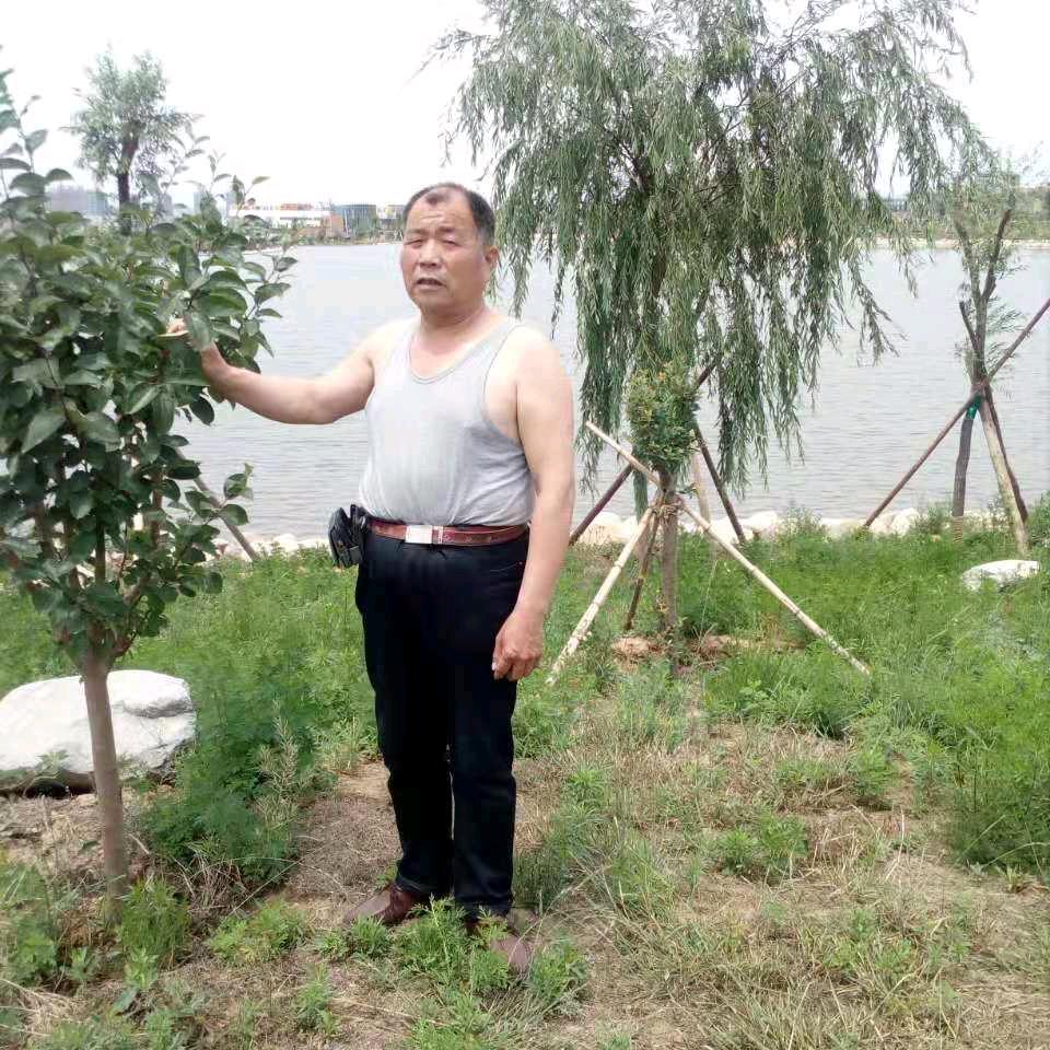 曙光
