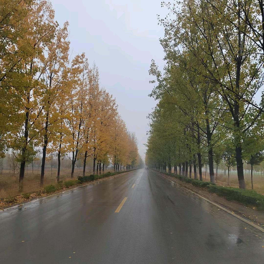 💞๓᭄余生ᝰᩚ