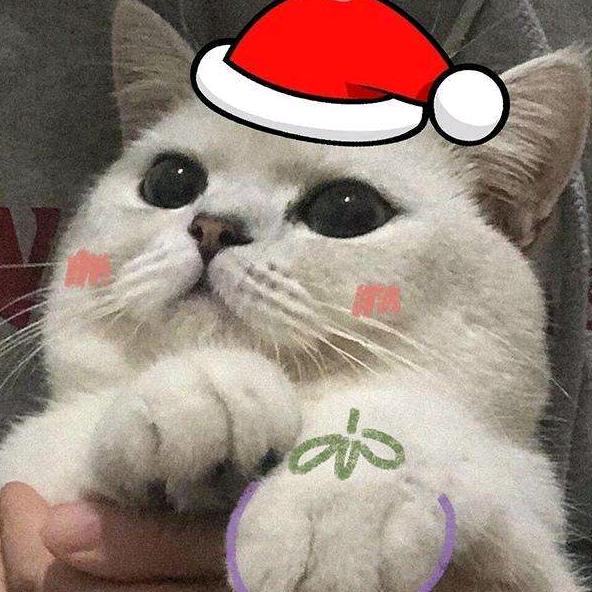 南简