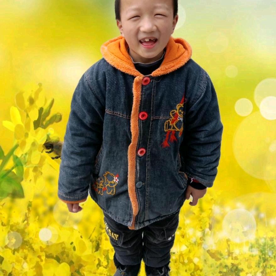 一往风顺