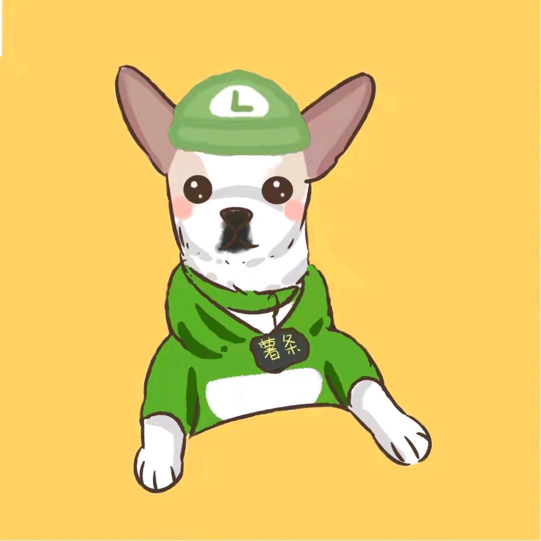 爱玩Switch的路易条
