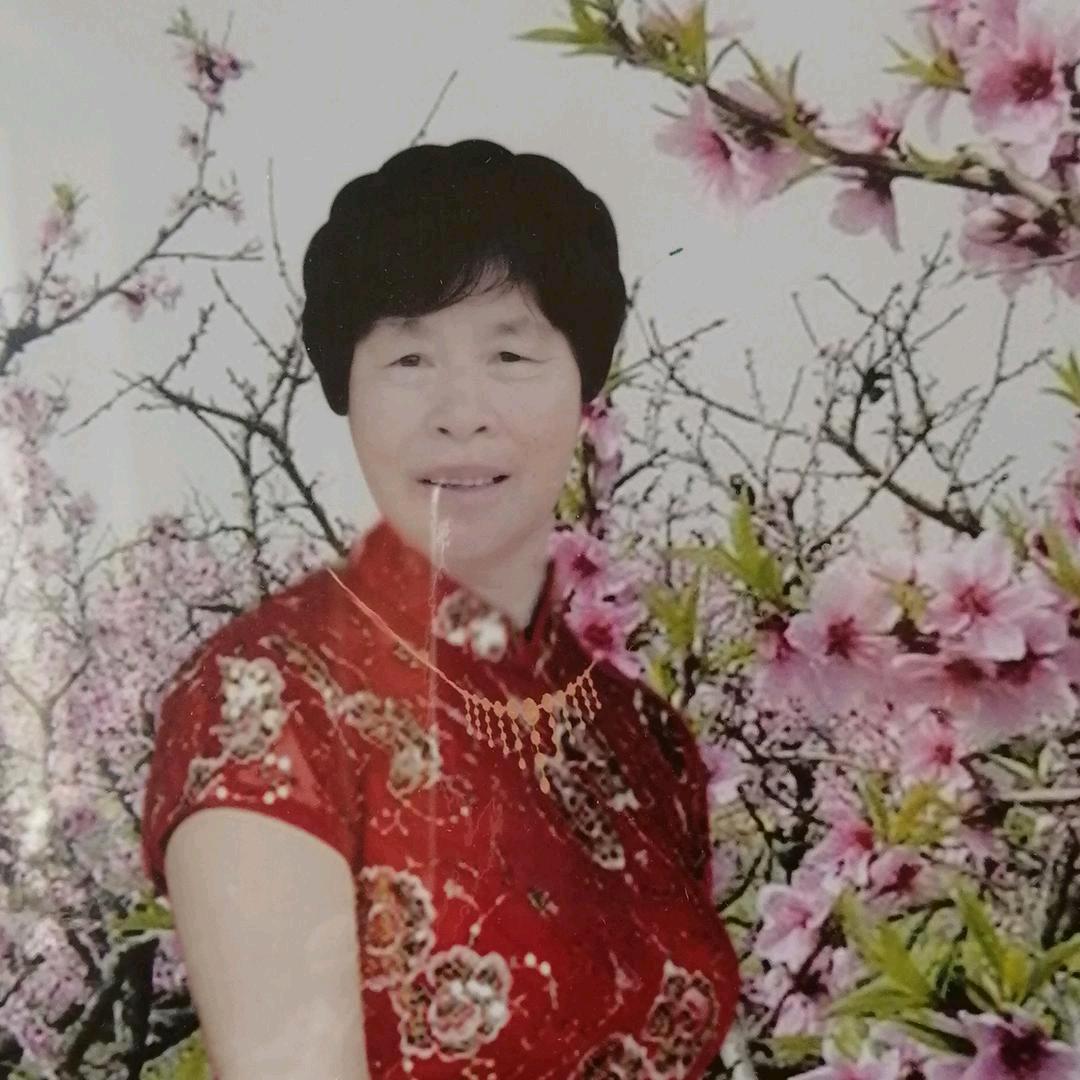 靓丽夕阳红