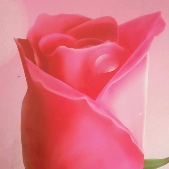 喜欢音乐的小燕子