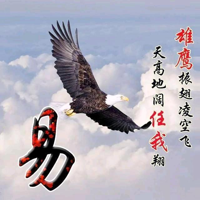 不惹红尘