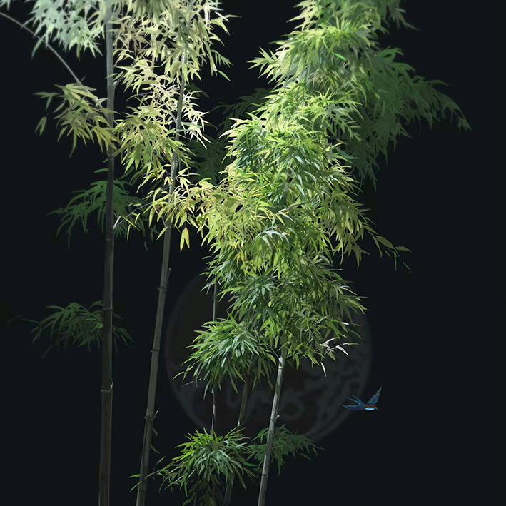 如梦如幻