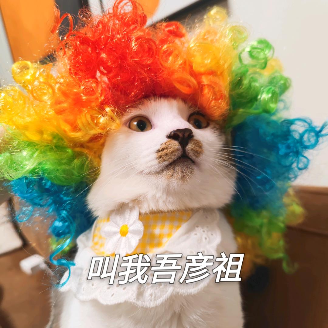 吾彦祖好白🐱