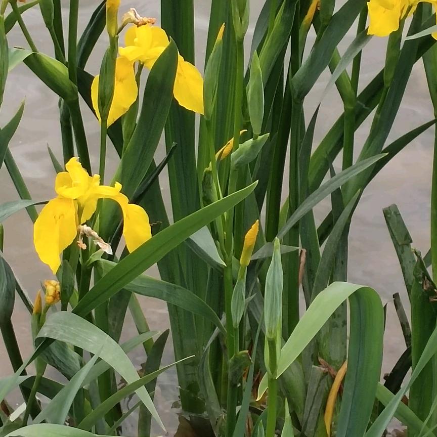 开心快乐的郝哥