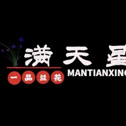 满天星园艺