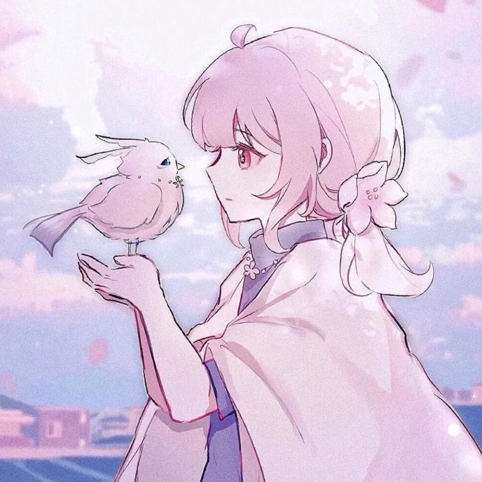 关家小宝