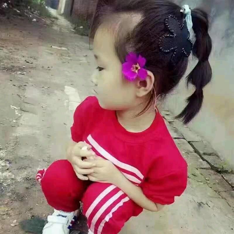 李子